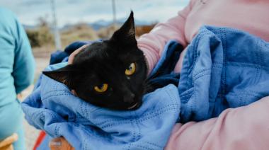 Más de 30 mascotas fueron esterilizadas en Bella Vista durante un nuevo operativo impulsado por la Municipalidad de Jáchal