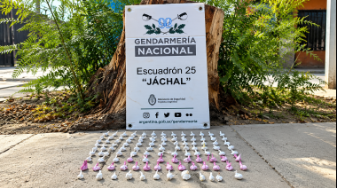 Operativo antidrogas en Jáchal: interceptaron a tres hombres que circulaban en un auto con 88 dosis de cocaína