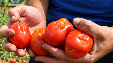 San Juan prepara ayuda económica para los pequeños productores ante la amenaza de El Niño, las lluvias y el granizo