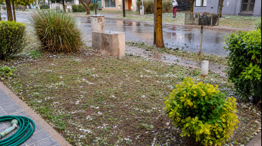 Una fuerte tormenta con lluvia, viento y granizo sorprendió a los vecinos de Iglesia y generó preocupación por posibles daños