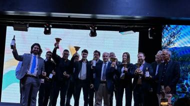 Orgullo sanjuanino: Cuatro vinos tintos de la provincia fueron elegidos entre los cinco mejores del país en la Cata Nacional 2026