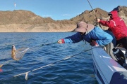 La Subsecretaría de Conservación reglamentó los periodos habilitados para pescar en San Juan