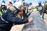Histórico: Confirmaron que terminaron de unir el oleoducto que conecta Vaca Muerta con el Océano Atlántico