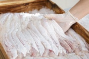 Semana Santa 2025: ¿Cuánto cuesta el kilo de pescado fresco y sin espina en Jáchal?