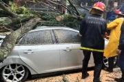 Por el fuerte temporal en Misiones hay al menos dos personas heridas y destrozos en varias localidades