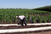Hubo errores en el canon de riego cobrado a productores de Jáchal y extienden el plazo de pago hasta el 10 de agosto