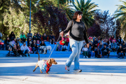 Jáchal vivió una multitudinaria jornada por el Día del Animal con desfile de mascotas, vacunación gratuita y actividades para la familia