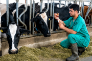 Gran China será sede de una capacitación destinada a productores caprinos y ovinos sobre sanidad animal y uso de botiquines