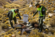 Misterioso hallazgo en Iglesia: Encontraron restos óseos humanos y vainas de fusil en plena Cordillera de Colangüil