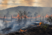 Un incendio arrasó aproximadamente tres hectáreas en Jáchal y tres hombres fueron aprehendidos como posibles autores