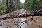 Un cerro cedió por las fuertes lluvias en Neuquén y los árboles terminaron flotando en las aguas del Nahuel Huapi