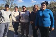 Temor en una zona rural de Jáchal: Vecinos aseguran haber visto nuevamente un puma y piden la intervención de las autoridades