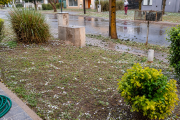 Una fuerte tormenta con lluvia, viento y granizo sorprendió a los vecinos de Iglesia y generó preocupación por posibles daños