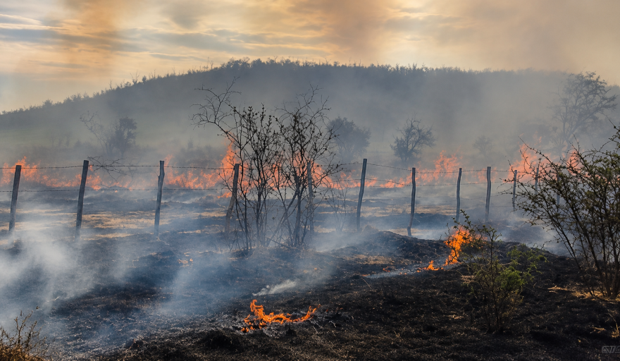 Un incendio arrasó aproximadamente tres hectáreas en Jáchal y tres hombres fueron aprehendidos como posibles autores